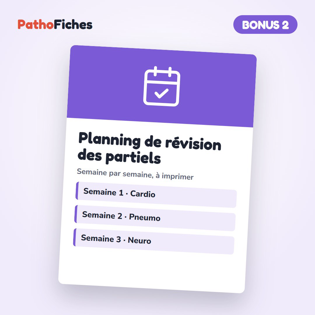 Bonus Planning de révision des partiels