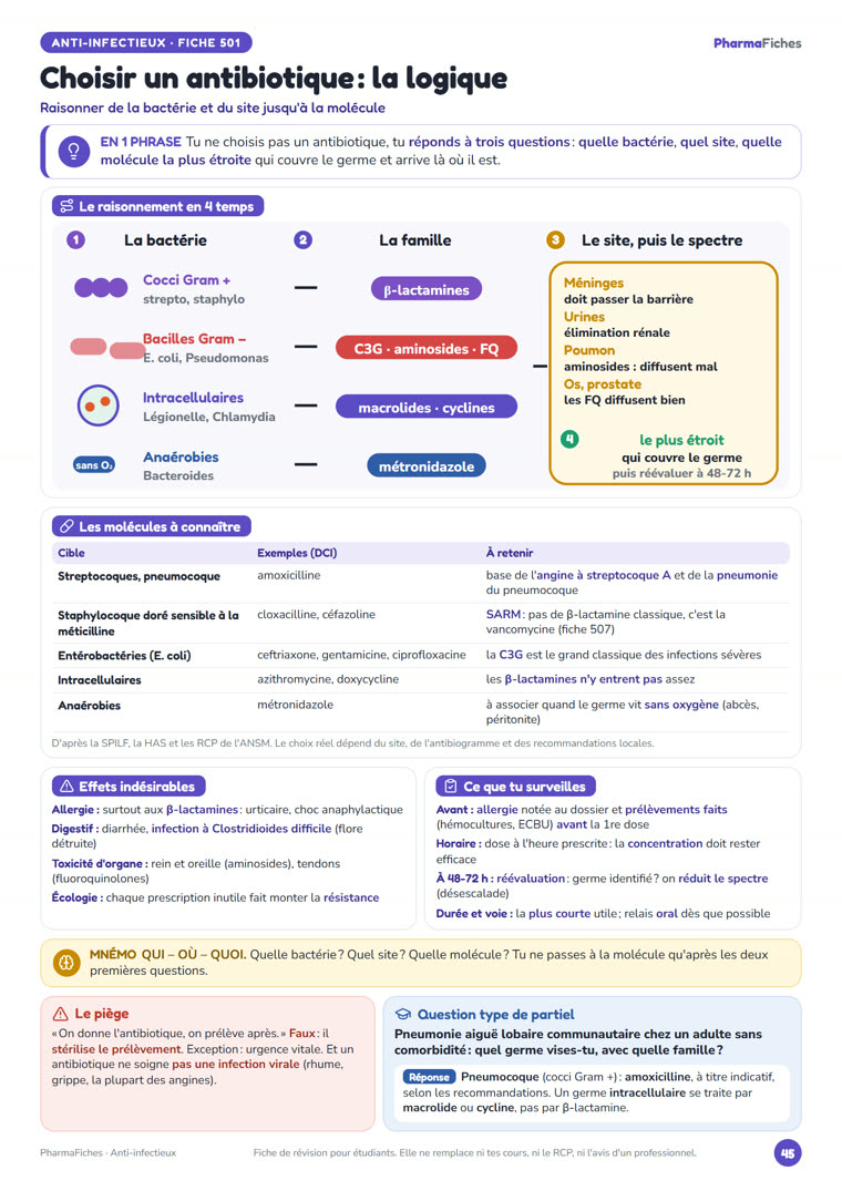 Fiche « Choisir un antibiotique : la logique » de PharmaFiches